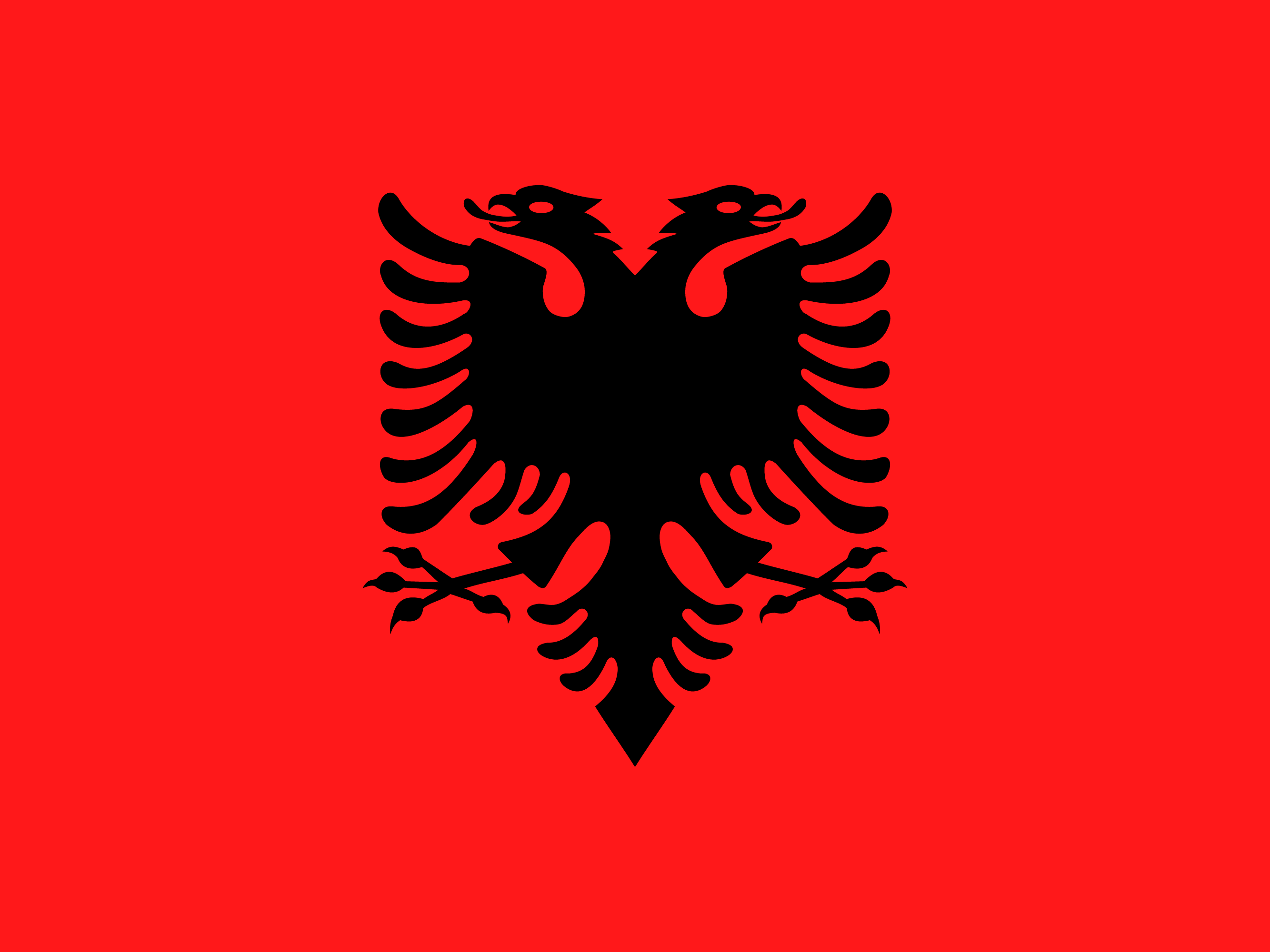 アルバニアの国旗
