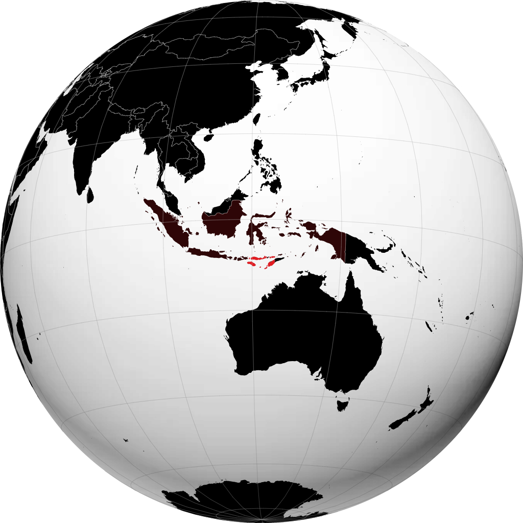 地球儀上のProvinsi Nusa Tenggara Timur